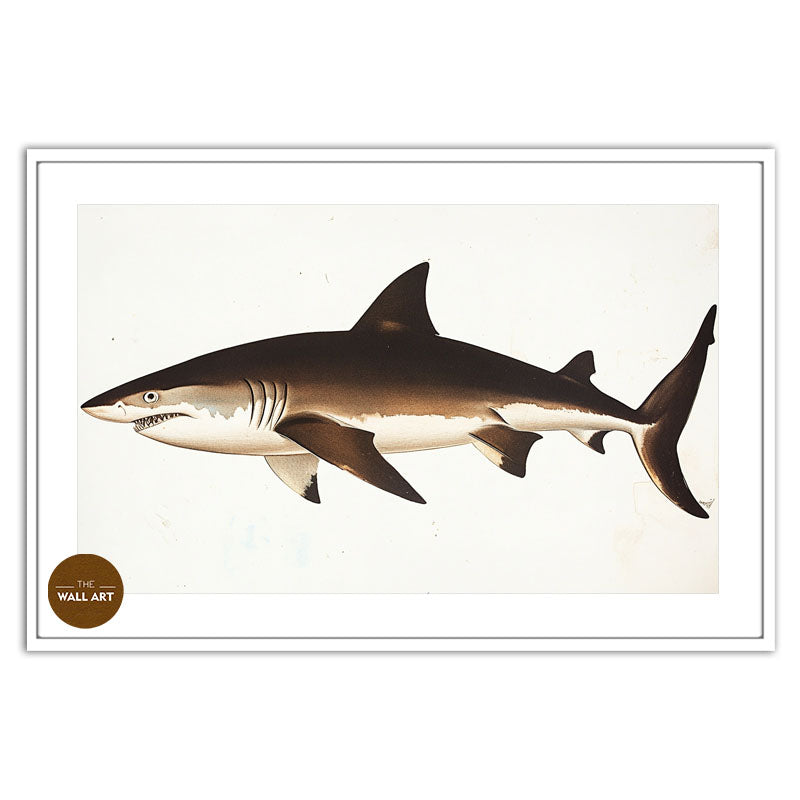 SHARK IV