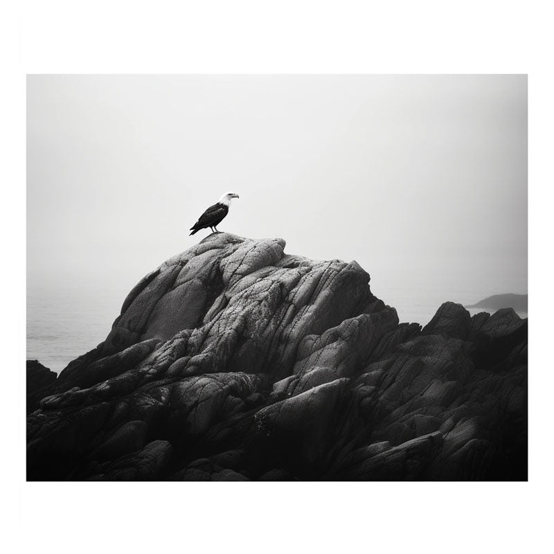 SOLITARY COURAGE III