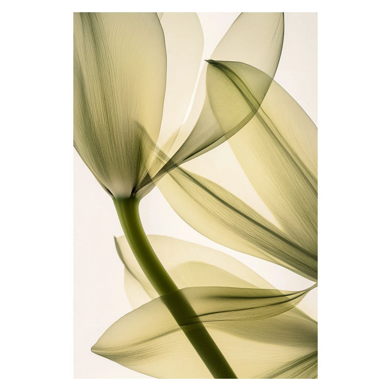 TRANSPARENT LEAVES II