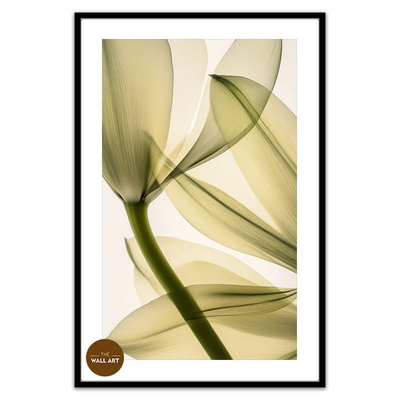 TRANSPARENT LEAVES II