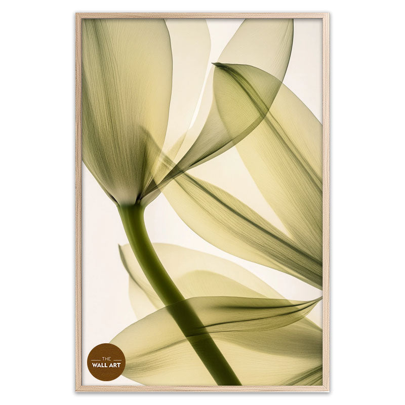 TRANSPARENT LEAVES II