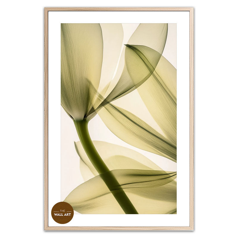 TRANSPARENT LEAVES II