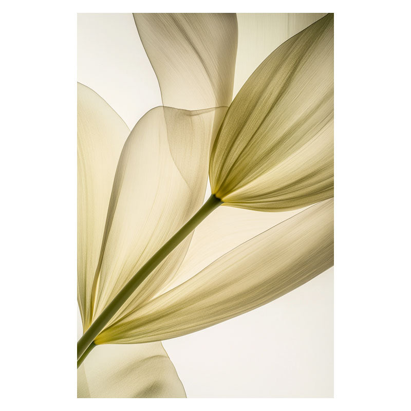 TRANSPARENT LEAVES I