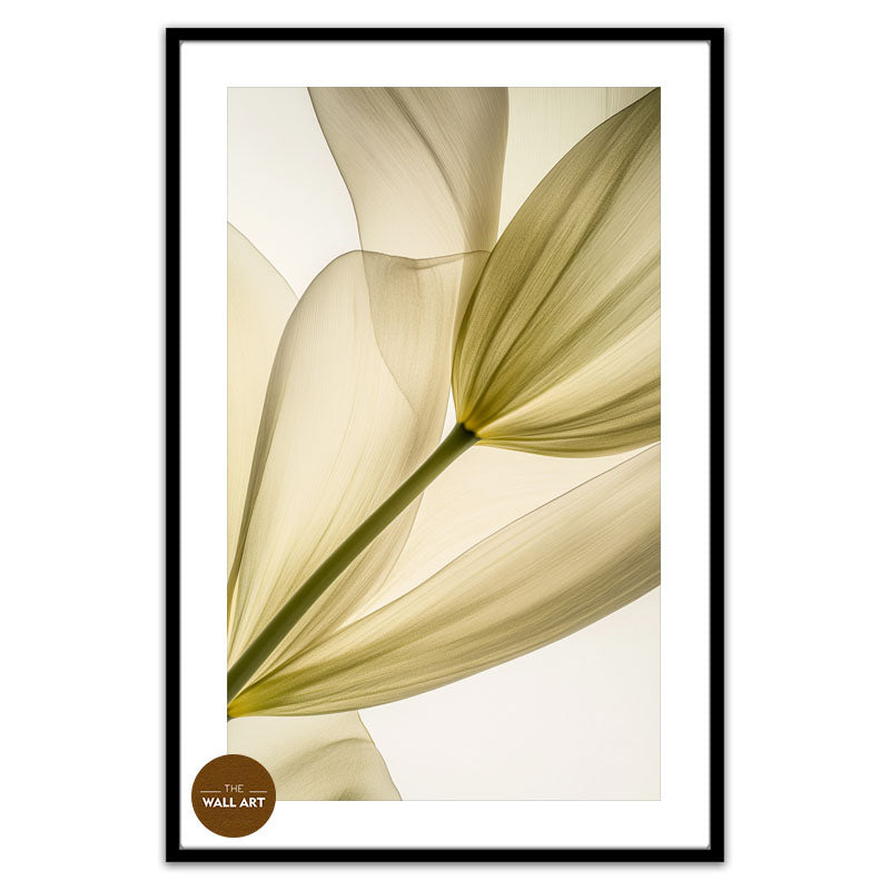 TRANSPARENT LEAVES I