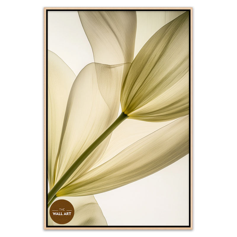 TRANSPARENT LEAVES I