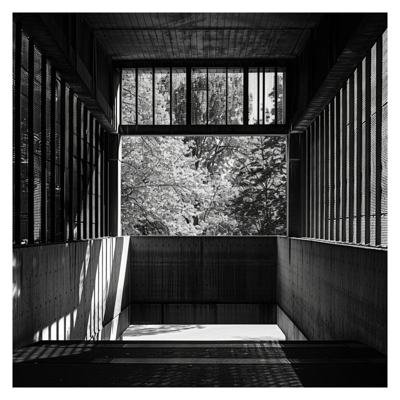 VERTICAL SYMPHONY
