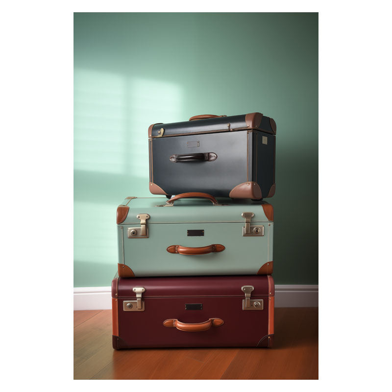 VINTAGE SUITCASE I