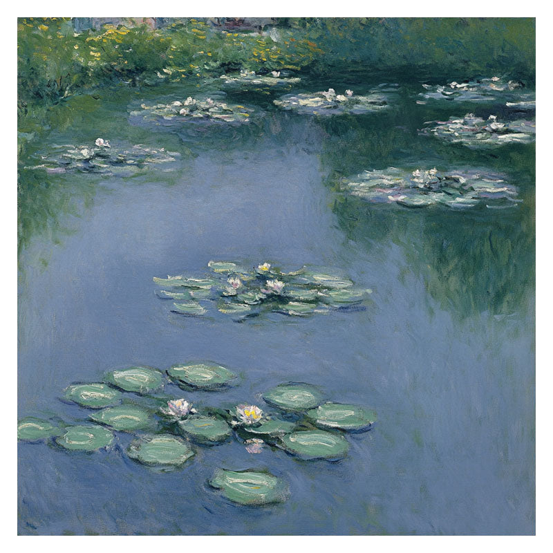 WATER LILY GREEN POND
