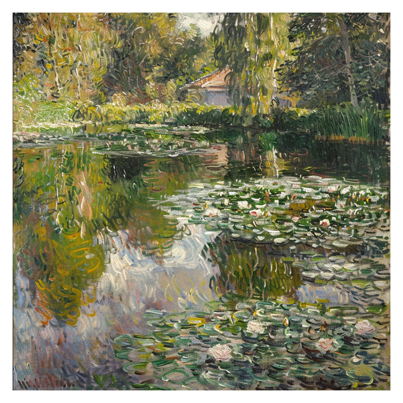 WHITE WATER LILY POND