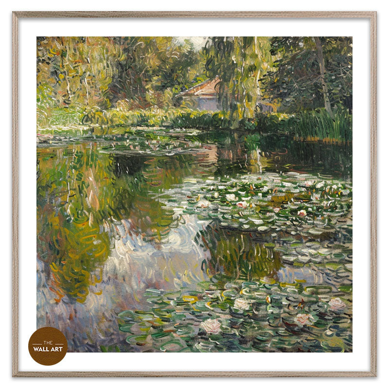 WHITE WATER LILY POND