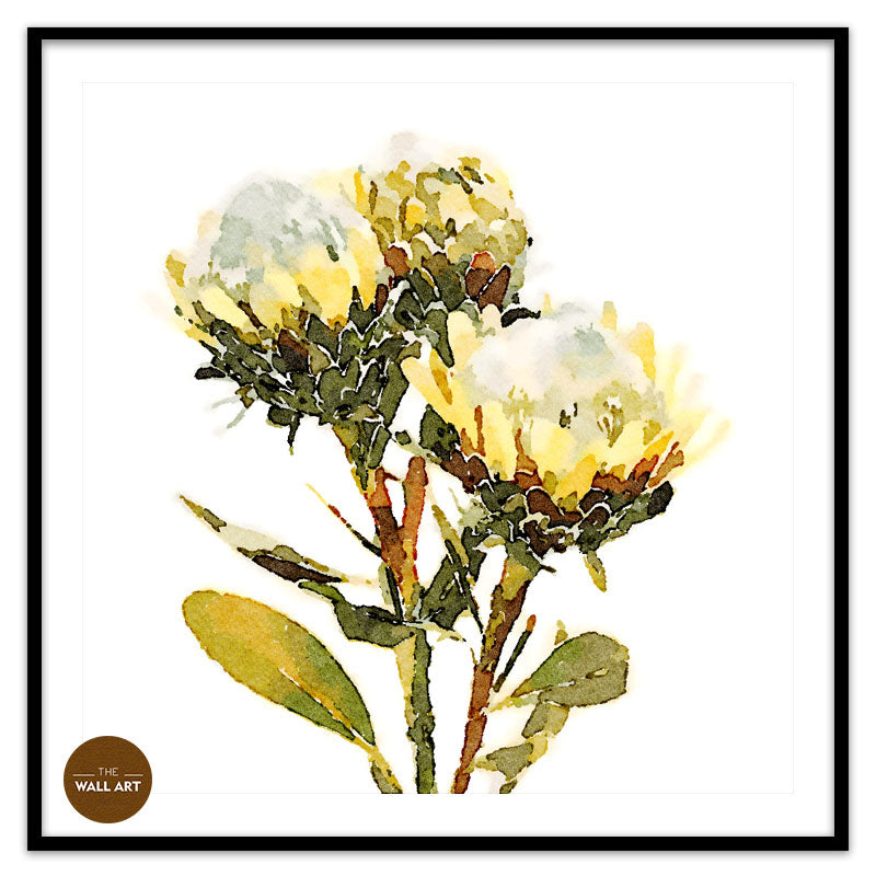 YELLOW KING PROOTEA FLOWERS