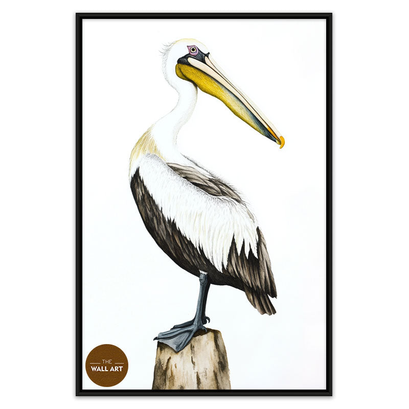 YELLOW BEACK PELICAN