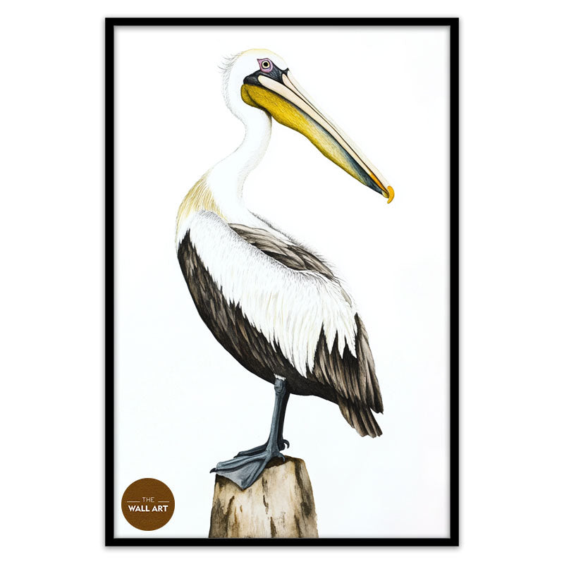 YELLOW BEACK PELICAN