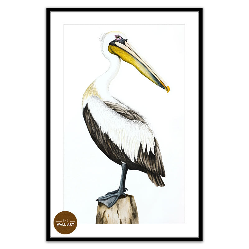 YELLOW BEACK PELICAN