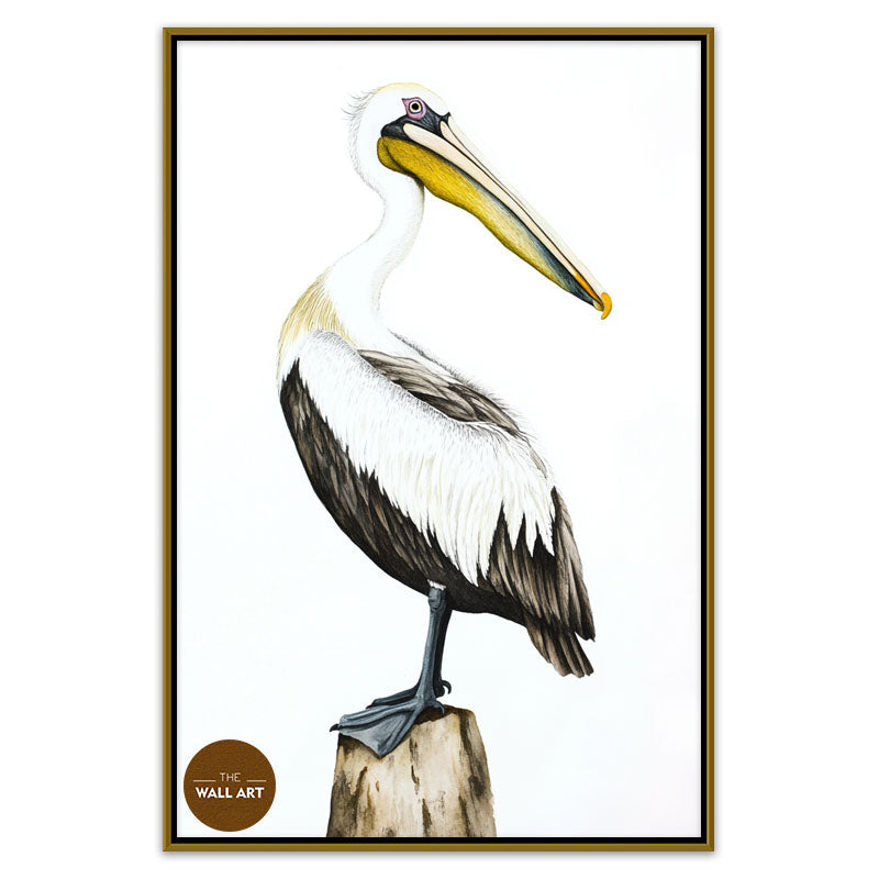 YELLOW BEACK PELICAN