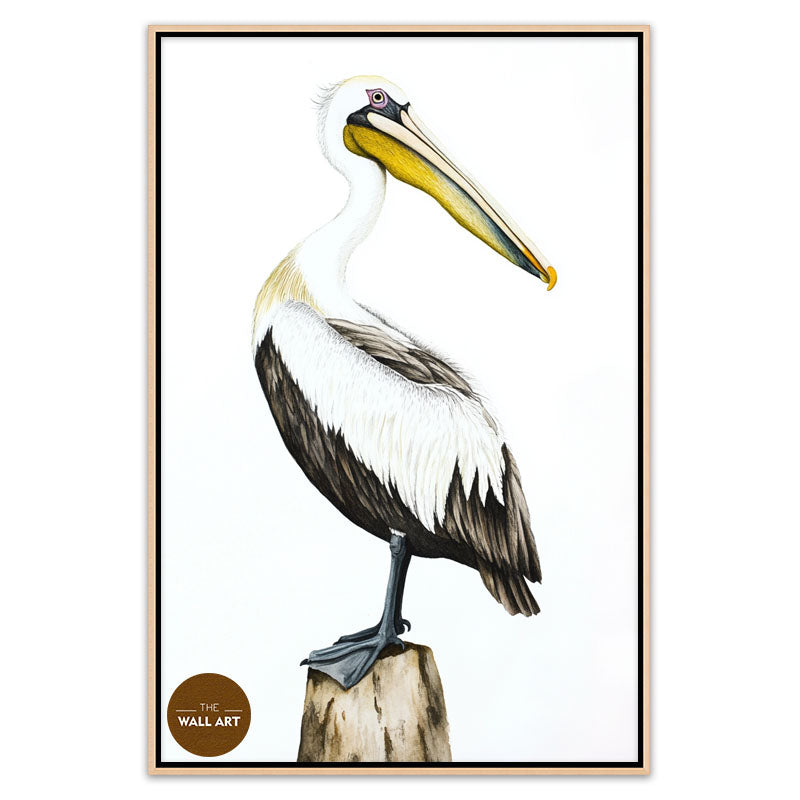 YELLOW BEACK PELICAN
