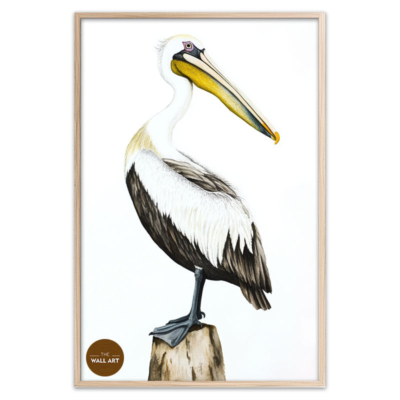 YELLOW BEACK PELICAN