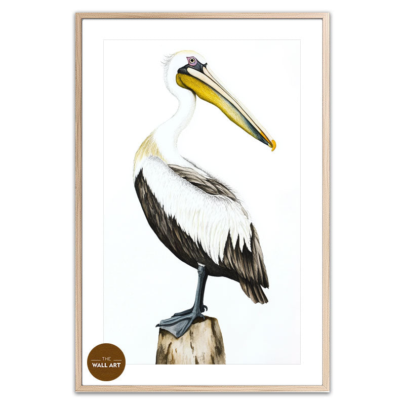 YELLOW BEACK PELICAN