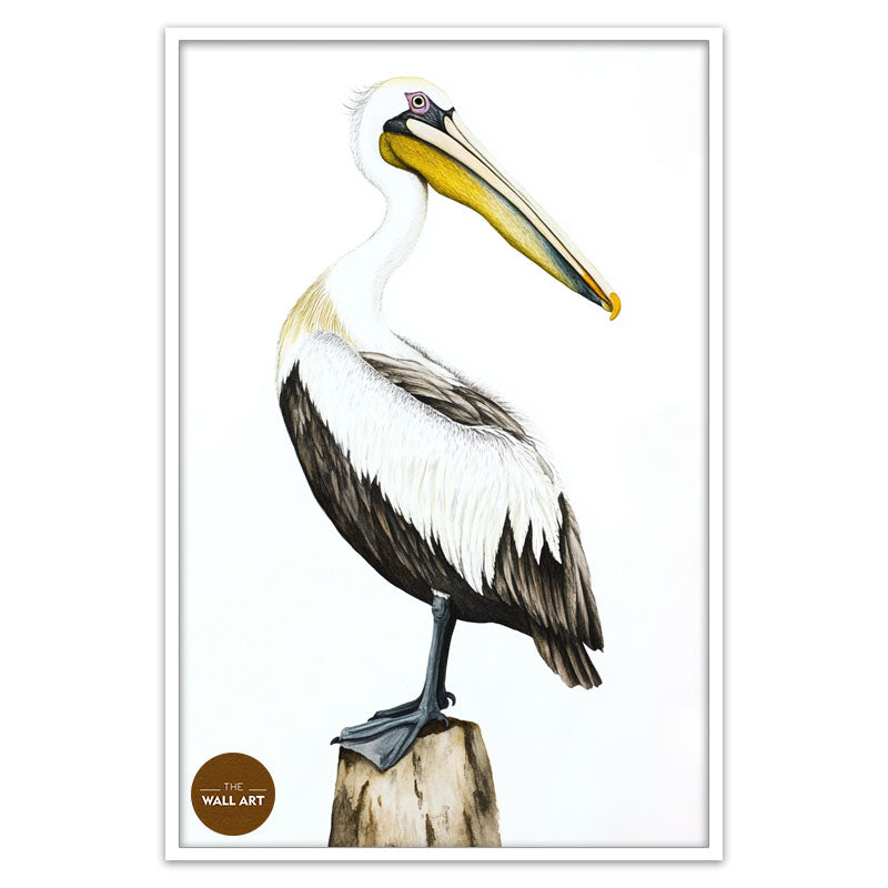 YELLOW BEACK PELICAN