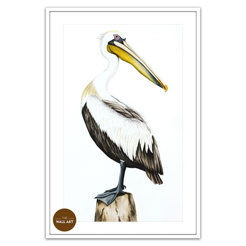 YELLOW BEACK PELICAN